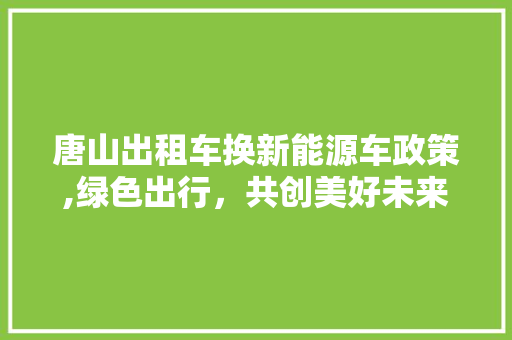 唐山出租车换新能源车政策,绿色出行，共创美好未来