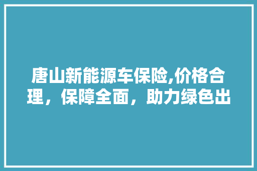 唐山新能源车保险,价格合理，保障全面，助力绿色出行