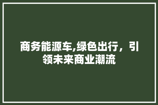 商务能源车,绿色出行，引领未来商业潮流 新款车型