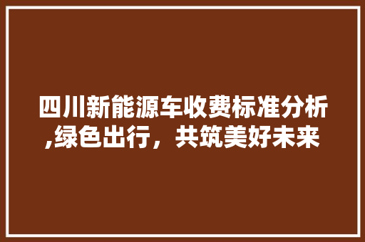 四川新能源车收费标准分析,绿色出行，共筑美好未来