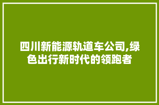 四川新能源轨道车公司,绿色出行新时代的领跑者