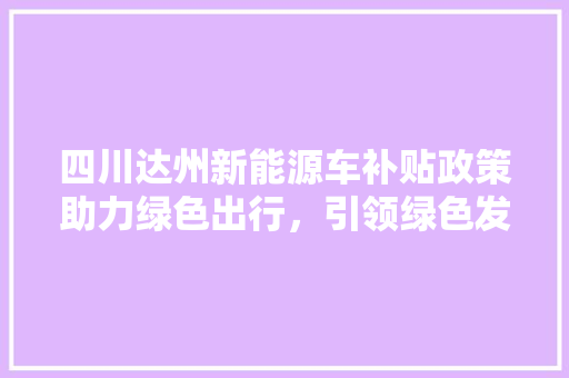 四川达州新能源车补贴政策助力绿色出行，引领绿色发展新潮流