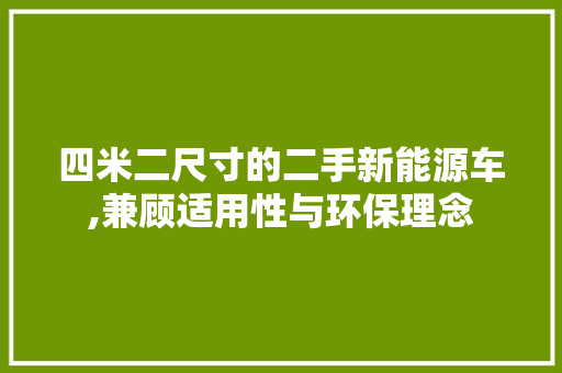 四米二尺寸的二手新能源车,兼顾适用性与环保理念