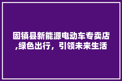 固镇县新能源电动车专卖店,绿色出行，引领未来生活方式