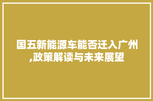 国五新能源车能否迁入广州,政策解读与未来展望