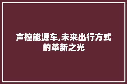 声控能源车,未来出行方式的革新之光