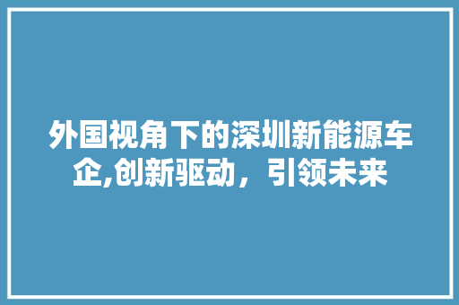 外国视角下的深圳新能源车企,创新驱动，引领未来