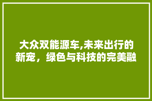 大众双能源车,未来出行的新宠，绿色与科技的完美融合