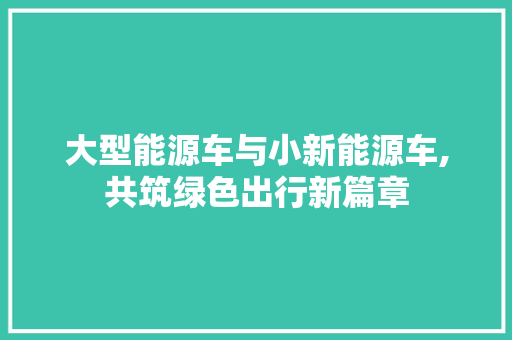大型能源车与小新能源车,共筑绿色出行新篇章 变速箱配件