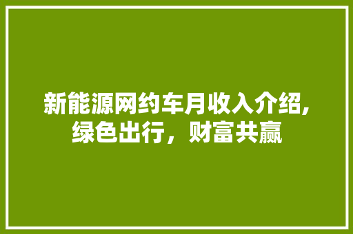 新能源网约车月收入介绍,绿色出行，财富共赢