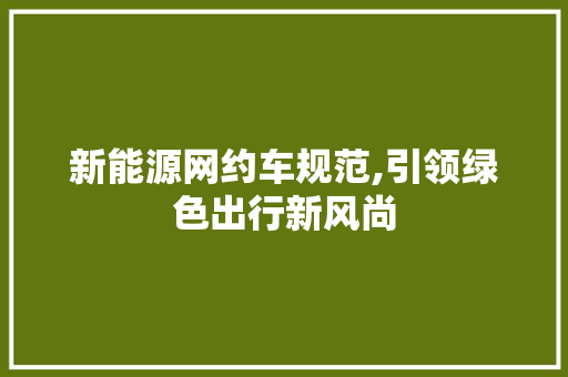 新能源网约车规范,引领绿色出行新风尚