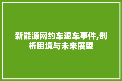 新能源网约车退车事件,剖析困境与未来展望
