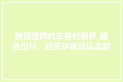 新能源网约车首付探析,绿色出行，经济环保双赢之路