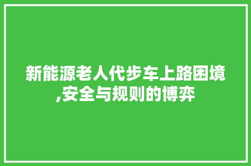 新能源老人代步车上路困境,安全与规则的博弈