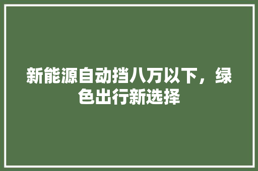 新能源自动挡八万以下，绿色出行新选择