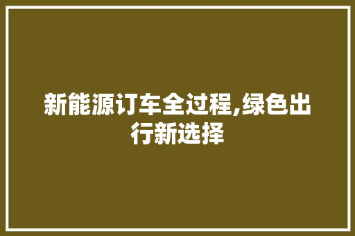 新能源订车全过程,绿色出行新选择