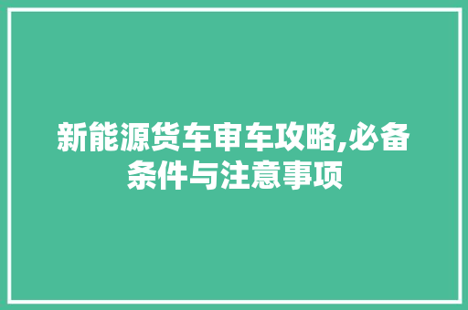 新能源货车审车攻略,必备条件与注意事项
