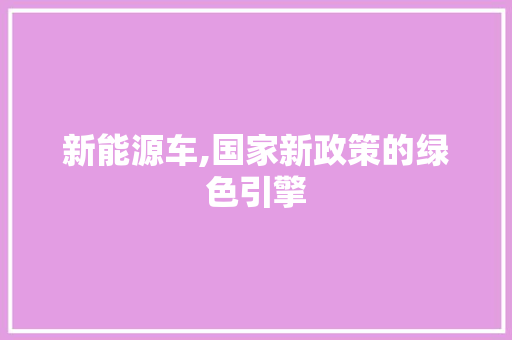 新能源车,国家新政策的绿色引擎