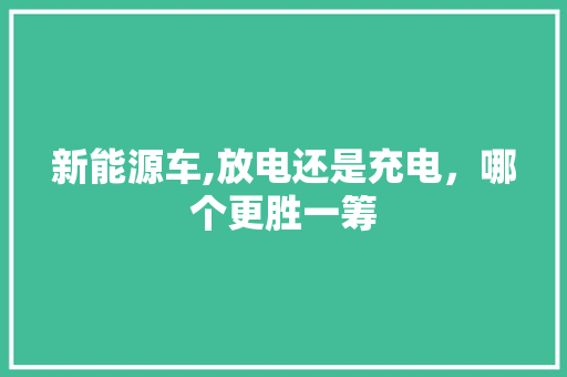 新能源车,放电还是充电，哪个更胜一筹