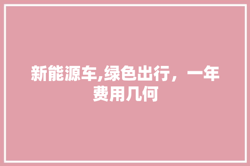 新能源车,绿色出行，一年费用几何