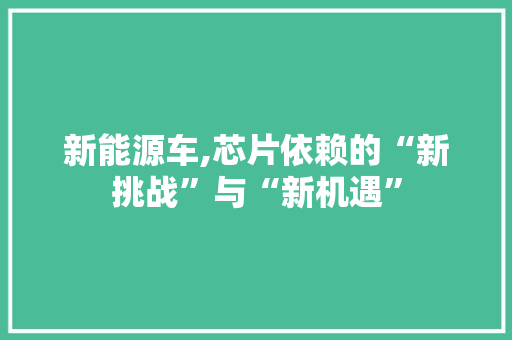 新能源车,芯片依赖的“新挑战”与“新机遇”