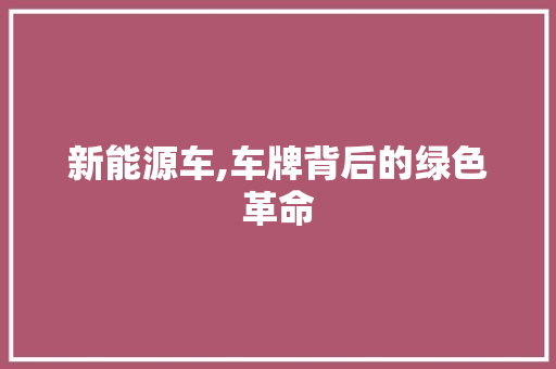 新能源车,车牌背后的绿色革命