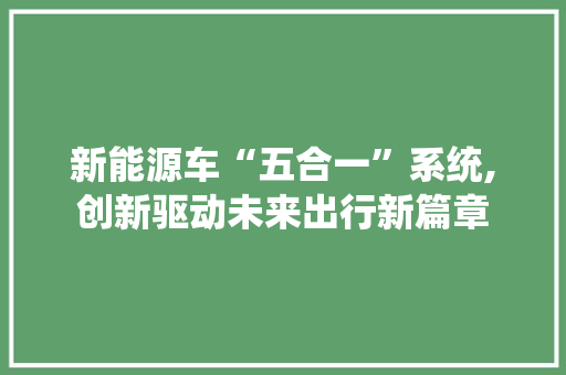 新能源车“五合一”系统,创新驱动未来出行新篇章