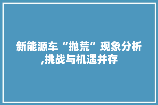 新能源车“抛荒”现象分析,挑战与机遇并存