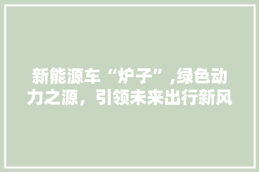 新能源车“炉子”,绿色动力之源，引领未来出行新风尚