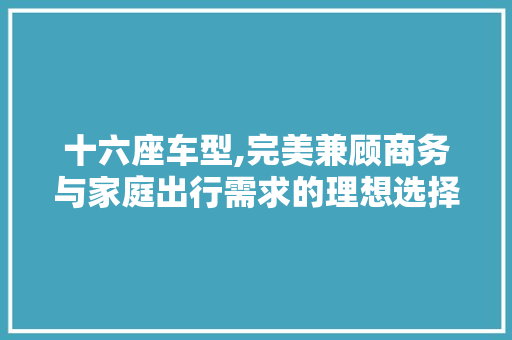 十六座车型,完美兼顾商务与家庭出行需求的理想选择