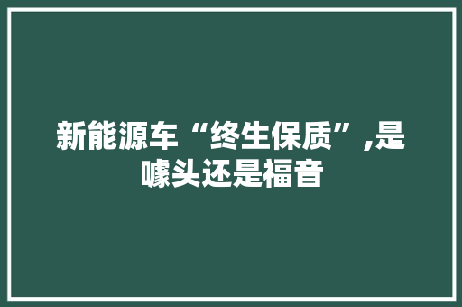 新能源车“终生保质”,是噱头还是福音