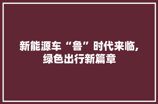 新能源车“鲁”时代来临,绿色出行新篇章