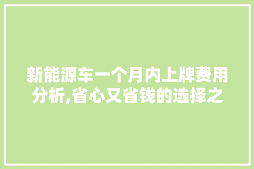 新能源车一个月内上牌费用分析,省心又省钱的选择之路
