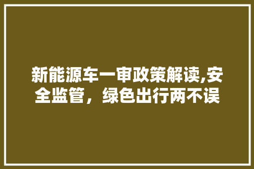 新能源车一审政策解读,安全监管，绿色出行两不误