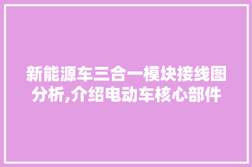 新能源车三合一模块接线图分析,介绍电动车核心部件的智慧连接