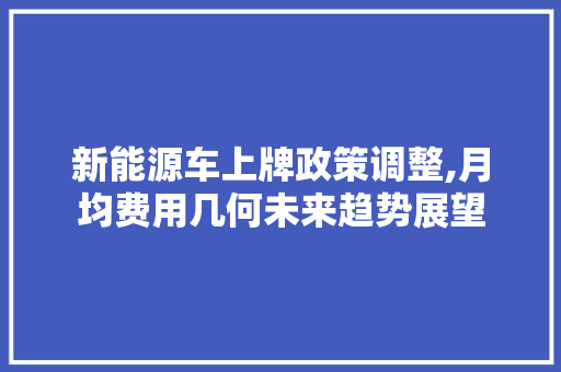 新能源车上牌政策调整,月均费用几何未来趋势展望