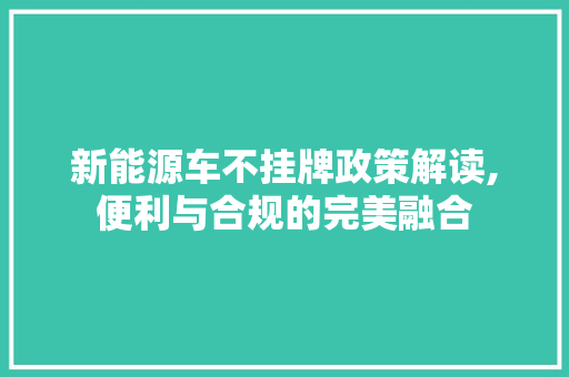新能源车不挂牌政策解读,便利与合规的完美融合