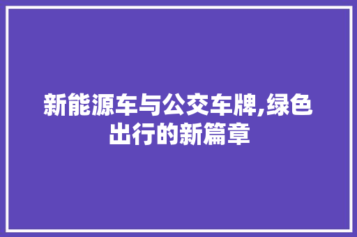 新能源车与公交车牌,绿色出行的新篇章
