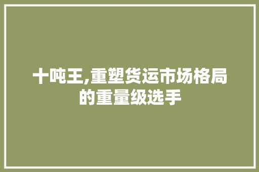 十吨王,重塑货运市场格局的重量级选手