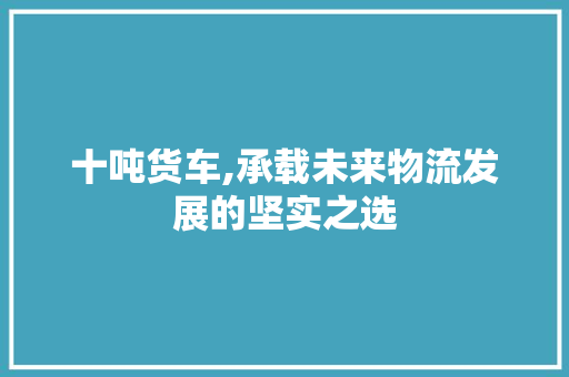 十吨货车,承载未来物流发展的坚实之选