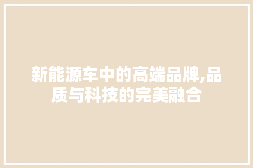 新能源车中的高端品牌,品质与科技的完美融合