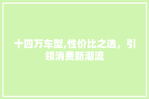 十四万车型,性价比之选，引领消费新潮流