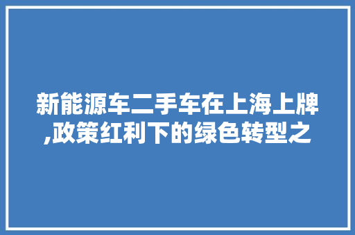 新能源车二手车在上海上牌,政策红利下的绿色转型之路