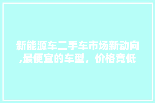 新能源车二手车市场新动向,最便宜的车型，价格竟低至XXX！