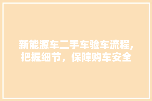 新能源车二手车验车流程,把握细节，保障购车安全