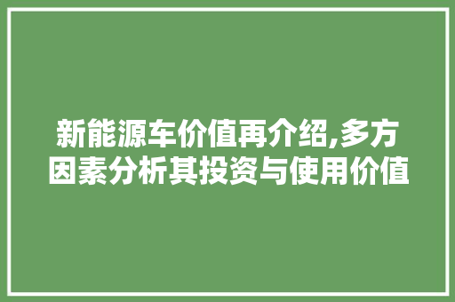 新能源车价值再介绍,多方因素分析其投资与使用价值 车身配件