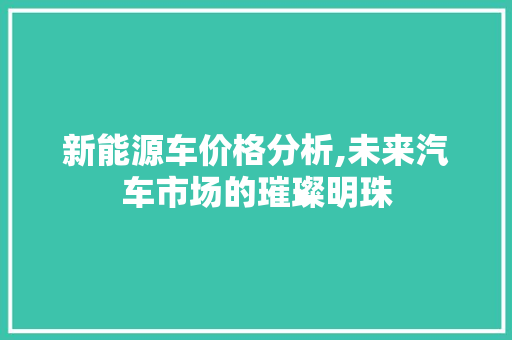 新能源车价格分析,未来汽车市场的璀璨明珠 车身配件
