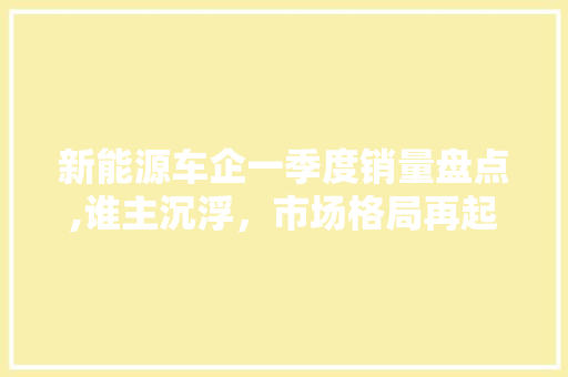 新能源车企一季度销量盘点,谁主沉浮，市场格局再起波澜