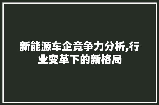 新能源车企竞争力分析,行业变革下的新格局