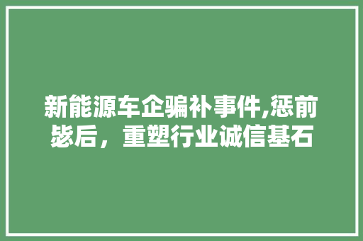 新能源车企骗补事件,惩前毖后，重塑行业诚信基石